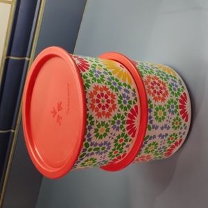 Tupperware Canisters Set